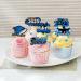 TEICTS Graduation Party Decor 2023 Graduation Party Cupcake Toppers 24 PCS Congrats Grad Cake Toppers Blue and Silver Cupcake Toppers 2023 Graduates Class of 2023 Party Decor (UK-OP-GradCupcakeBlue) - Buy Online on GoSupps.com