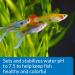 API PROPER pH 7.5 Freshwater Aquarium Water pH Stabilizer 260 g Container - Buy Online on GoSupps.com