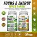 Focus + Energy Bundle | Panax Ginseng & Ginkgo Biloba Tablets + Moringa Oleifera Capsules - Non-GMO Superfood for Energy and Brain Function - Buy Online on GoSupps.com