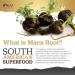 Maca Root 6000mg High Strength Complex with Peruvian Maca, Ginseng & Black Pepper - 180 Vegan Capsules - Buy Online on GoSupps.com