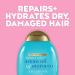 OGX Hydrate and Repair + Argan Oil of Morocco Extra Strength Shampoo 385ml - Buy Online on GoSupps.com