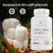 GENIUS HERBALS Lions Mane Complex - Concentrated 4:1 Extract for Brain Health Cognitive and Memory Support - 60 Capsules - Buy Online on GoSupps.com