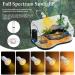 Sunshine Smile Turtle Heat Lamp - 25W & 50W Reptile Terrarium Lamp Duo for Turtles & Reptiles - B-White (2PCs) - Buy Online on GoSupps.com