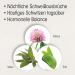 Dr. B hm Isoflavone + Sage - 60 Tablets | Menopause Support & Sweat Relief Dietary Supplement - Buy Online on GoSupps.com