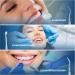 High-Quality Tartar Remover & Dental Care Set for Dogs | Tooth Cleaning Tools with Mouth Mirror & Scaler - International Shipping Available - Buy Online on GoSupps.com