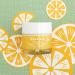 Derma E Vitamin C Intense Night Cream with Probiotics & Rooibos - 2 oz | Anti-Aging & Brightening - Buy Online on GoSupps.com