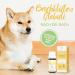 Buy Wolfsbacher Nature Fear-Free Bach Flowers for Dogs & Cats | 1200 Natural Calming Globules | Anti-Stress Remedy According to Dr. Bach | 10g - Buy Online on GoSupps.com