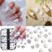 XUYUH Exquisite Craftsmanship Camellia Nail Art Decorations in Various Styles Take Your Manicure to The Next Level - Buy Online on GoSupps.com