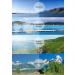 Littlebird4 Premium 1.5mm Polarized Replacement Lenses for Oakley Sutro Sunglasses - Dark Black | MultiOptions - Buy Online on GoSupps.com