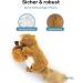 Buy Pettec Interactive Cat Toys - Electric Movable Squirrel with Catnip | Automatic Self-Employment Toy for Cats - Buy Online on GoSupps.com