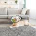 ZEEJORY Adjustable Cat & Dog Cone Collar for Fast Healing - M(28-37cm/11-14.5in) - Buy Online on GoSupps.com