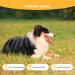 Animal Vita Spot On Tick Protection for Dogs | Reliable Tick Control for Small Dogs (2-10kg) - Buy Online on GoSupps.com