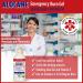 Alocane Maximum Strength 4% Lidocaine Emergency Burn Gel Pump - 32 Ounce | Commercial Grade with Aloe Vera and Vitamin E | Ideal for Restaurants and Heat-Intensive Work Environments - Buy Online on GoSupps.com