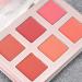 Livre De Palette De Maquillage De Mode Palette Cosm tique | De Contour Du Visage Avec Plusieurs Nuances Polyvalente Et Portable Parfaite Pour Les tudiants Voyageurs D butants  - Buy Online on GoSupps.com