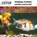KOIPON Pon-Vital 2.5 kg 100% Biological Filamentous Algae Killer for Garden Ponds | Eco-Friendly Algae Control - Buy Online on GoSupps.com