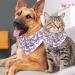 Dog Hollow Cloth Bibs - Triangle Design for Small Medium & Large Dogs & Cats - Violet Butterfly Pattern - 2 Piece Multi-Colored Set - Buy Online on GoSupps.com