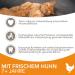 IAMS Senior Dry Cat Food with Chicken - 10 kg | Premium Nutrition for Cats 7+ Years - Buy Online on GoSupps.com
