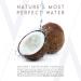 Aluram Coconut Water Smoothing Cream | Marula & Jojoba Oils | 6 Fl Oz | For Blow Drying & Curling | Clean Beauty, Sulfate & Paraben Free - Buy Online on GoSupps.com