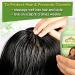Sofn Free n Pretty GroHealthy Olive Oil Hair Lotion - Hair Growth, Repair, Moisture - 8.8 oz - Buy Online on GoSupps.com