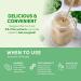 Designer Wellness Plant Meal Replacement Powder - Pea & Rice Protein with Vitamins, Minerals, Fats, Antioxidants - Belgian Chocolate - 1.32 lb - Buy Online on GoSupps.com