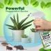 Mighty Mint 16oz Peppermint Oil Rodent Repellent Spray - Natural Pest Control Solution - Buy Online on GoSupps.com