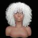 Shop Colorfulpanda Afro Kinky Wigs for Women | Short Wavy Synthetic Wig - Naturally Curly & Stylish - Buy Online on GoSupps.com