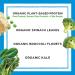 Orgain Organic Protein & Greens Vegan Protein Powder, Vanilla Bean - 21g Plant Based Protein - Gluten Free, Non-GMO - 1.94lb - 1 Pack - Buy Online on GoSupps.com