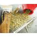 Planta Vera Yerba Mate Despalada + LemonGrass Energry from Brazil Great Aroma from Paraguay 700G - Buy Online on GoSupps.com
