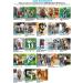 Best Pet Supplies Voyager Mesh Harness & Leash Combo for Small to Large Breed Puppies - Reflective, Neoprene Handle - Black/Black Trim (S, Chest 14.5-16) - Buy Online on GoSupps.com