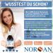 Buy Norsan Premium Omega 3 Fish Oil - High-Dose 200 ml with 2000 mg Omega 3 EPA & DHA Plus 800 IU Vitamin D3 - International Shipping Available - Buy Online on GoSupps.com