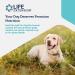 Life Extension Dog Mix 3.52 oz - Premium Nutrition for Dogs - Buy Online on GoSupps.com