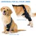 MerryMilo Dog Knee Brace Pet Supplies for Support with Cruciate Ligament Injury Joint Pain and Muscle Sore Adjustable Rear Leg Braces for Dogs Color: Black Size: L Large Black - Buy Online on GoSupps.com