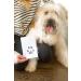 Pearhead Pet Ink Print 2 Pack - Black Pet Ink Pad Set - Buy Online on GoSupps.com