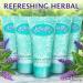 LavaPop - Travel Size Body Lotion - Iris Violet & Amber 0.7 fl oz 100 Pack - Delight Your Guests with Calming & Comforting Lotion - Bulk Hotel Toiletries for Airbnb Motels & Guest Rooms - Buy Online on GoSupps.com