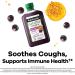 Robitussin Naturals Cough Relief Plus Immune Health Supplement - Honey Ivy Leaf Zinc Elderberry Syrup - 8.3 Oz - Buy Online on GoSupps.com