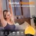 Bluetooth Daylight Alarm Clock with Sunrise Simulation & 22 Natural Sounds | Wake Up Light & Bedside Lamp for Kids - 20 Brightness Levels - Buy Online on GoSupps.com