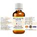 Buy Greenwood Essential Pure Strawberry Seed Oil 100ml - Therapeutic Grade Vegan & Natural | Best Price Online - Buy Online on GoSupps.com