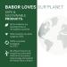 BABOR CLEANFORMANCE Moisture Glow Serum Probiotic Face Cream - Vegan & Clean Beauty for Radiant Skin - Buy Online on GoSupps.com