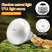 MIXJOY 2 Pack Reptile Heat Lamp 100W UVA Daylight Basking Spot Light Amphibians Basking Bulbs Heat Lamps Heat Lamp Bulbs for Reptiles Lizard Tortoise Bearded Dragon - Buy Online on GoSupps.com