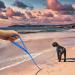Wolfone 1.5m Black Drag Line for Dogs | Waterproof Durable Training Leash for Recall Swimming Camping & Walks - Buy Online on GoSupps.com