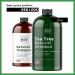 Tea Tree Dandruff Shampoo for Thinning Hair and Hair Loss - Sulfate Free with Peppermint Oil & Vitamin E - 16 Fl Oz - Made in USA - Buy Online on GoSupps.com