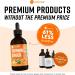 360 Nutrition Turmeric Ginger Supplement Drops - Vegan Curcumin with Black Pepper - Gut Health, Joint Support, Digestion - Keto-Friendly - Caffeine-Free - 4 fl oz (60 Servings) - Buy Online on GoSupps.com