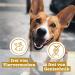 Chewies Maxi Meat Stripes for Dogs - 100% Beef Air-Dried Sugar-Free Cereal-Free - 150g D rrfleisch - Buy Online on GoSupps.com