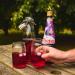 Ribena Concentr de Cassis 850 g - Buy Online on GoSupps.com