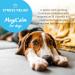 MagiCalm For Dogs | Healthspan | 60 Tablets | Anxious Dogs | Magnesium | B Vitamins | Chamomile | Pet Health | Vegetarian - Buy Online on GoSupps.com