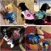 Cute Printed Puppy Shirt for Dogs | Christmas New Year Pet Apparel | Soft Cotton Dog Sweatshirt (M) - Buy Online on GoSupps.com