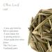 Organic Olive Leaf Tea - Premium Dried Olive Leaves - 100g - Rich in Antioxidants & Natural Wellness - Buy Online on GoSupps.com