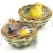 SunGrow Birds Nest for Finch, Canary, Pigeon, Parakeet - Encourages Courtship, Breeding, Nesting - Buy Online on GoSupps.com