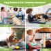 REAQUE Dog Buttons Talk Training Set | Recordable Voice Buttons for Communication & Pet Training | Buzzer for Dog Training | Gift for Pet Lovers | 4 Colors + Mat - Buy Online on GoSupps.com