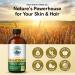 ProSeed Handmade Raw Wheat Germ Oil Virgin Unfiltered & Cold-Pressed Non-GMO Carrier Oil High in Vitamin E & Omega Fatty Acids for Hair Face Skin & Body 240ml (8oz) Glass Bottle 8 Ounce - Buy Online on GoSupps.com